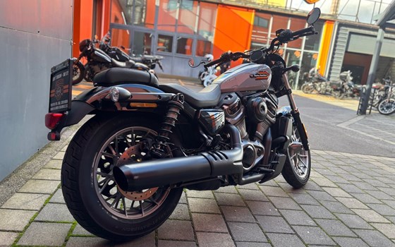 Gebrauchtmotorrad Harley-Davidson Nightster Special - Bild 3