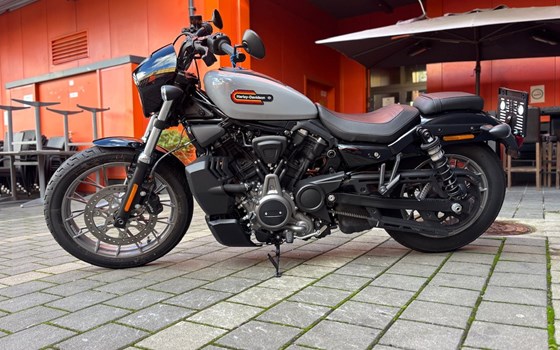 Gebrauchtmotorrad Harley-Davidson Nightster Special - Bild 7