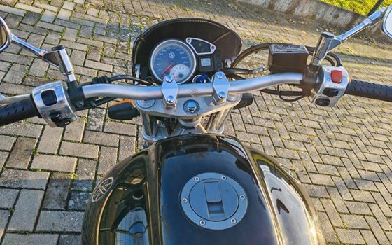 Gebrauchtmotorrad Yamaha BT 1100 Bulldog - Bild 19