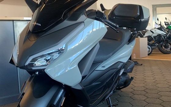 Gebrauchtmotorrad Honda Forza 125 - Bild 2