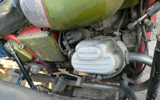 Gebrauchtmotorrad Moto Guzzi V7 Sport - Bild 3