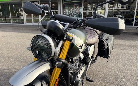 Gebrauchtmotorrad Triumph Scrambler 400 X - Bild 6