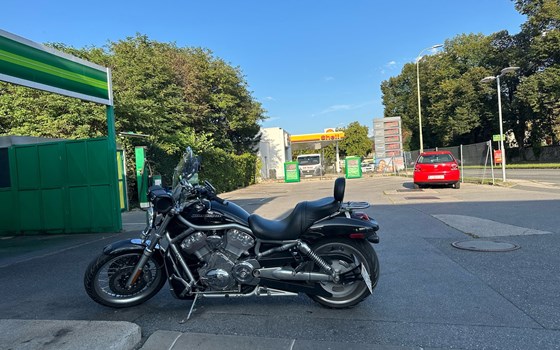 Gebrauchtmotorrad Harley-Davidson V-Rod VRSCA - Bild 3