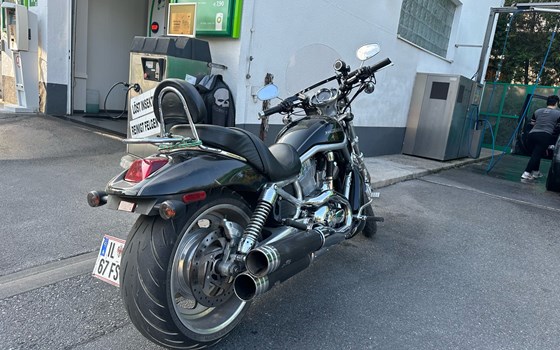Gebrauchtmotorrad Harley-Davidson V-Rod VRSCA - Bild 1
