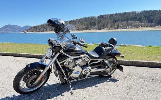 Gebrauchtmotorrad Harley-Davidson V-Rod VRSCA - Bild 5