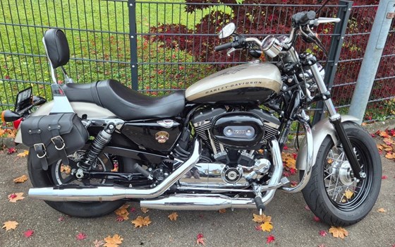 Offerta Harley-Davidson Sportster XL 1200C Custom - Immagine 1