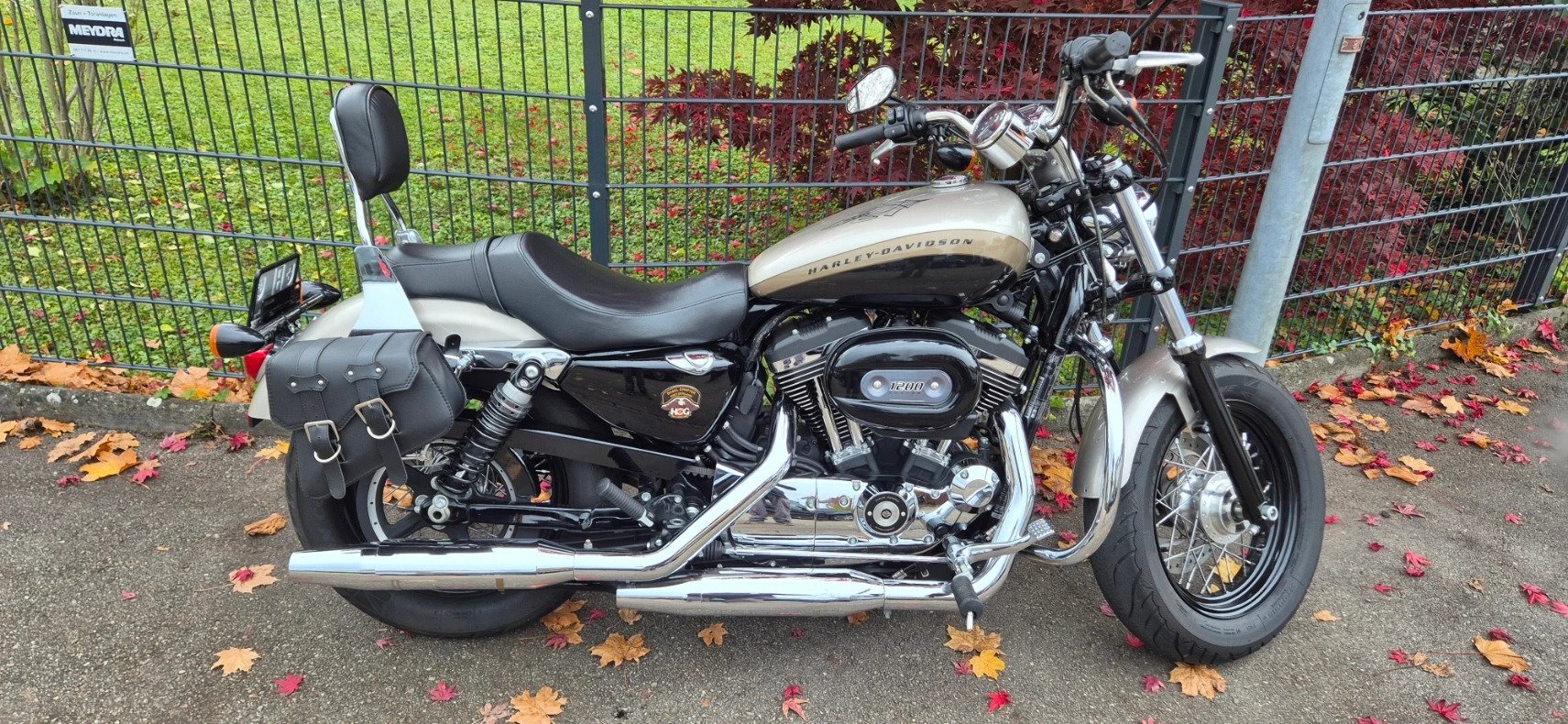 Occasion Harley-Davidson Sportster XL 1200C Custom