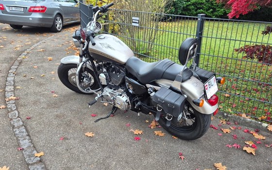 Offre Harley-Davidson Sportster XL 1200C Custom - Image 2