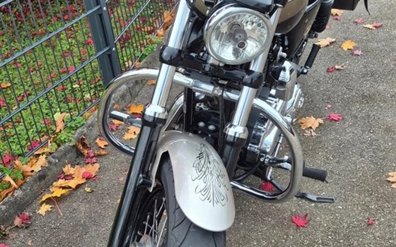 Motorrad Occasion Harley-Davidson Sportster XL 1200C Custom - Bild 3