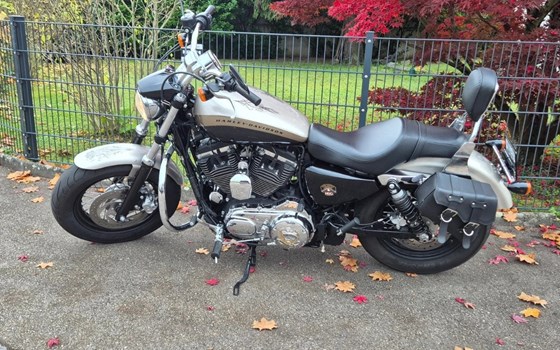 Offerta Harley-Davidson Sportster XL 1200C Custom - Immagine 4