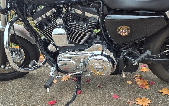 Motorrad Occasion Harley-Davidson Sportster XL 1200C Custom - Bild 5