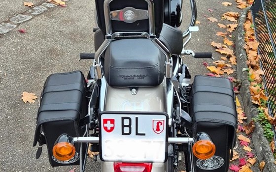 Motorrad Occasion Harley-Davidson Sportster XL 1200C Custom - Bild 6