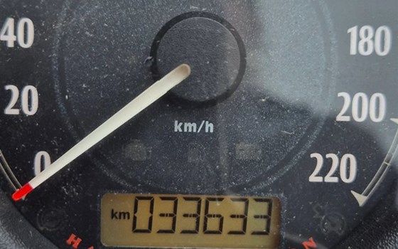 Motorrad Occasion Harley-Davidson Sportster XL 1200C Custom - Bild 8