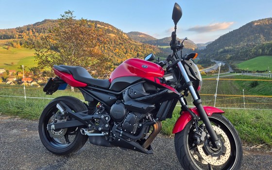 Motorrad Occasion Yamaha XJ6 - Bild 3