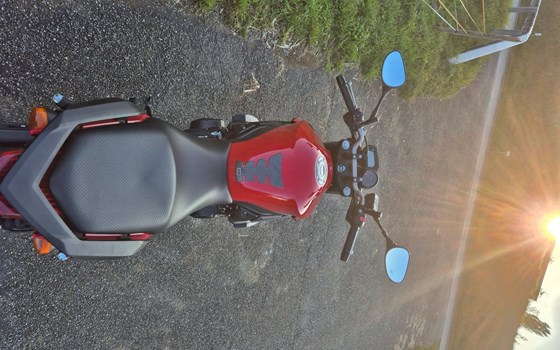 Motorrad Occasion Yamaha XJ6 - Bild 5