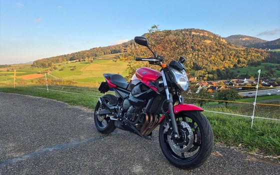 Motorrad Occasion Yamaha XJ6 - Bild 6