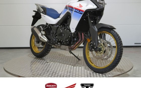 Neufahrzeug Honda XL750 Transalp - Bild 1