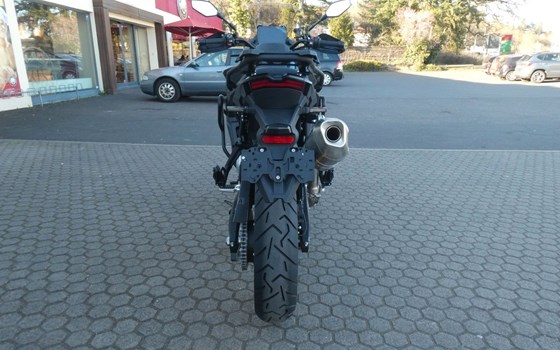 Neufahrzeug Voge DS900X - Bild 7