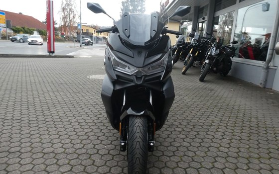 Neufahrzeug Voge SR4 350 LUXURY - Bild 3