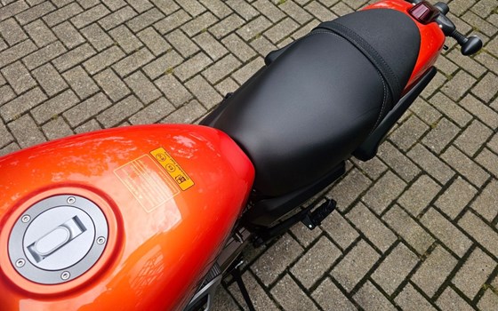 Neufahrzeug QJ Motor SRV12 - Bild 10