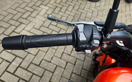 Neufahrzeug QJ Motor SRV12 - Bild 7