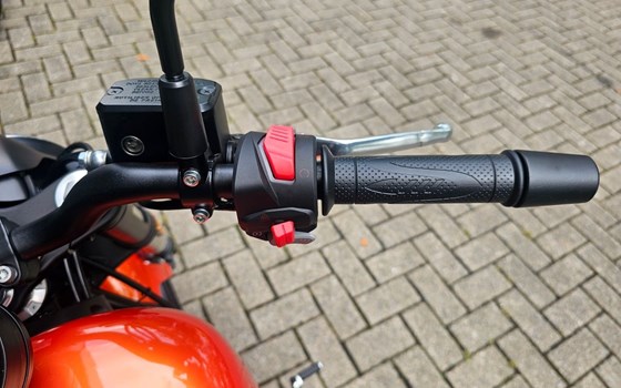 Neufahrzeug QJ Motor SRV12 - Bild 9