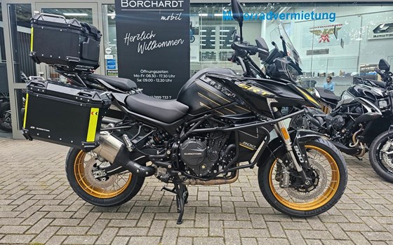 Neufahrzeug QJ Motor SRT 900 SX - Bild 2