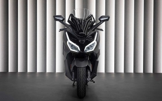 Gebrauchtmotorrad Honda Forza 125 - Bild 8