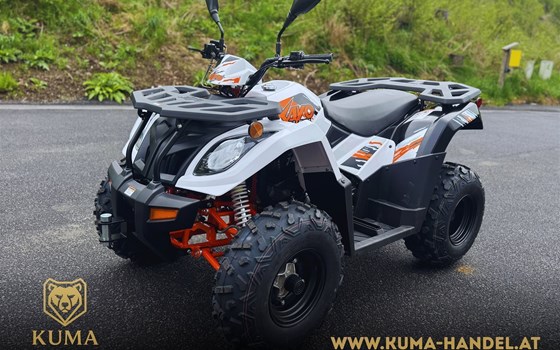 Neufahrzeug Kayo A 300 - Bild 1