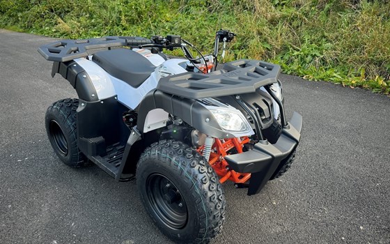 Neufahrzeug Kayo AU 150 - Bild 2