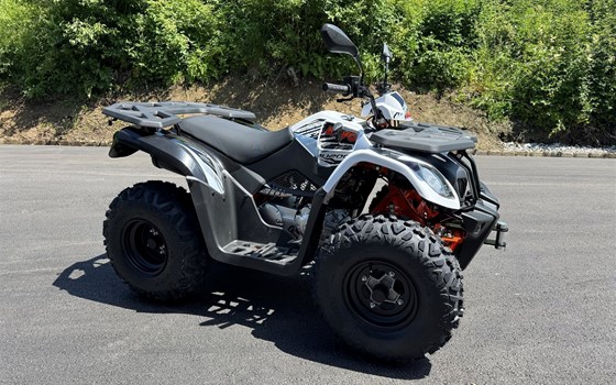 Neufahrzeug Kayo AU 200 - Bild 10