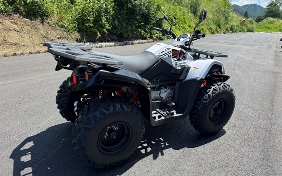 Neufahrzeug Kayo AU 200 - Bild 12