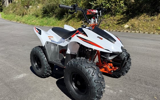 Neufahrzeug Kayo Fox 70 - Bild 12