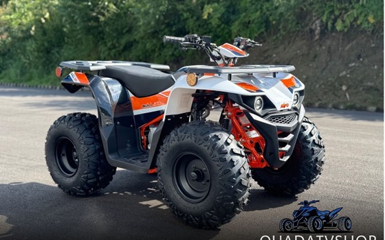 Neufahrzeug Kayo Racing Bull 125 - Bild 1