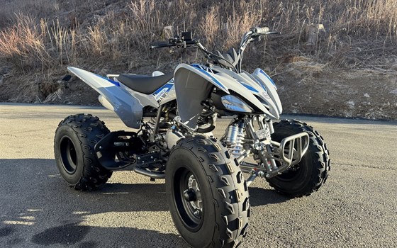 Neufahrzeug Mikilon Pentora ATV 250 - Bild 2