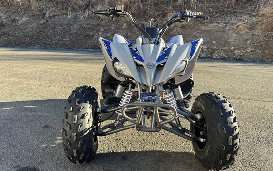 Neufahrzeug Mikilon Pentora ATV 250 - Bild 4