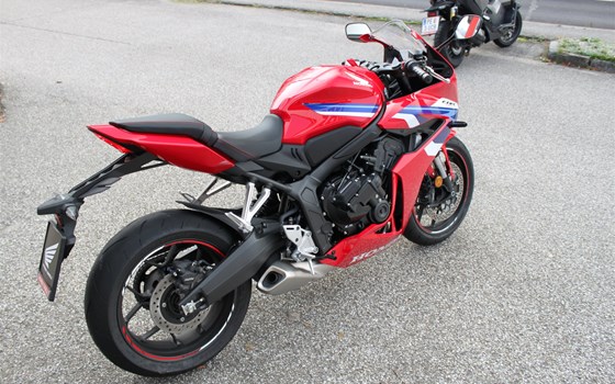 Neufahrzeug Honda CBR650R E-Clutch - Bild 4