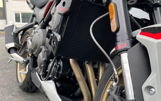 Neufahrzeug Triumph Trident 800 - Bild 6