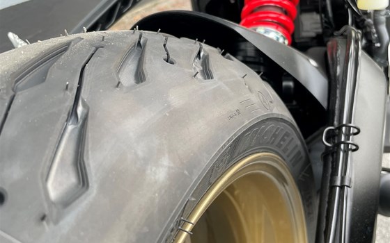 Neufahrzeug Triumph Trident 800 - Bild 12