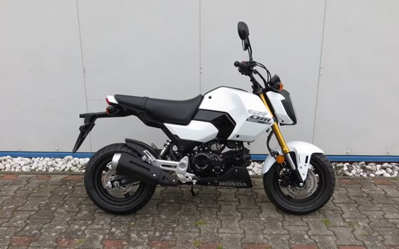 Neufahrzeug Honda MSX125 Grom - Bild 1
