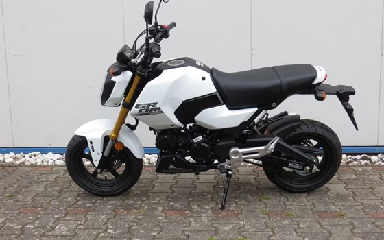 Neufahrzeug Honda MSX125 Grom - Bild 2