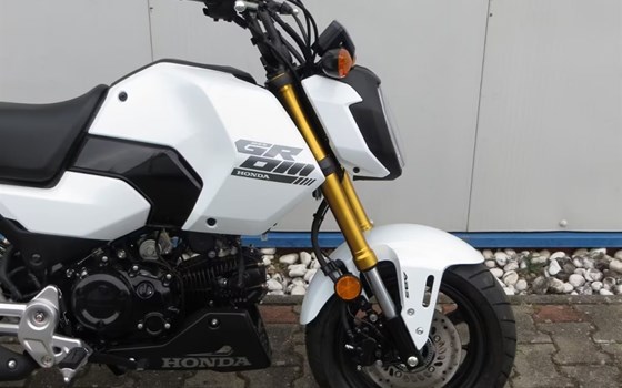 Neufahrzeug Honda MSX125 Grom - Bild 3