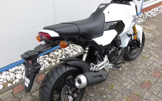 Neufahrzeug Honda MSX125 Grom - Bild 4