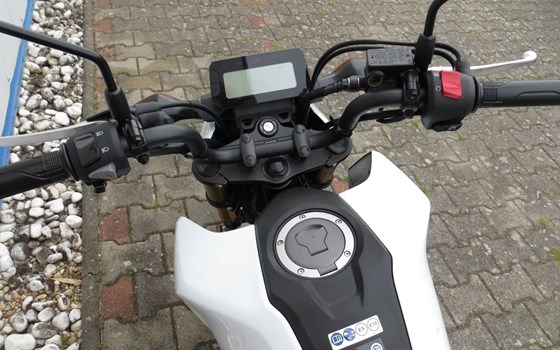 Neufahrzeug Honda MSX125 Grom - Bild 5