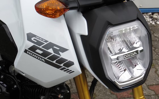 Neufahrzeug Honda MSX125 Grom - Bild 7