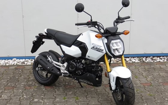 Neufahrzeug Honda MSX125 Grom - Bild 8