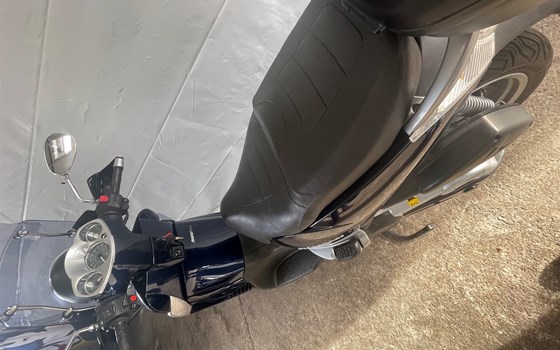 Gebrauchtmotorrad Aprilia Scarabeo 500 i.e. - Bild 7