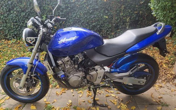 Gebrauchtmotorrad Honda CB 600 F Hornet - Bild 1