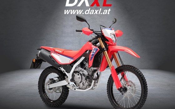 Neufahrzeug Honda CRF300L - Bild 1