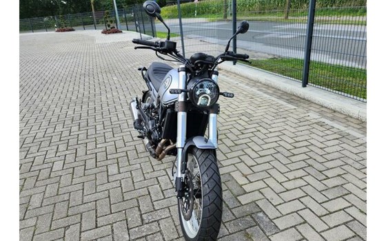 Gebrauchtmotorrad Benelli Leoncino 500 Trail - Bild 8